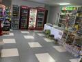 Магазины и бутики · 100 м² за 38 млн ₸ в Талгаре — фото 9