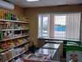 Магазины и бутики • 150 м² за 16 млн 〒 в Федоровка — фото 4