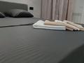 2-бөлмелі пәтер · 55 м² · 5/9 қабат, Курмангазы 152 — Абая, Ихсанова, бағасы: 20 000 ₸ в Уральске, мкр Школьник — фото 5