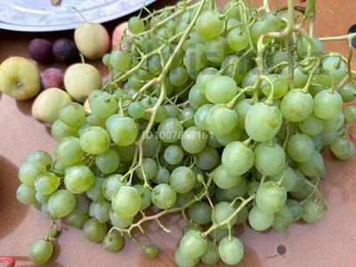 Дача · 2 комнаты · 30 м² · 6 сот., Арычная 413 — Супермаркет Адал за 3.2 млн 〒 в Семее, Красный Кордон