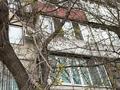 2-бөлмелі пәтер · 43.6 м² · 3/5 қабат, Металлургов 29, бағасы: ~ 8.3 млн ₸ в Темиртау — фото 2