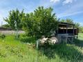 Дача · 2 комнаты · 44 м² · 9 сот., Алмалы за 3.5 млн ₸ в Атырау — фото 4