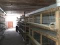 Готовый бизнес · 1500 м² за 25 млн 〒 в Алматинской обл., Талгарский р-н — фото 6