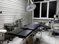 Клиника пластической хирургии и косметологии или · 180 м², бағасы: 45 млн ₸ в Алматы, Бостандыкский р-н — фото 4