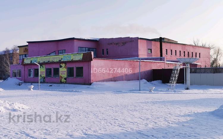 Магазины и бутики · 2353 м² за 320 млн 〒 в Калбатау — фото 2