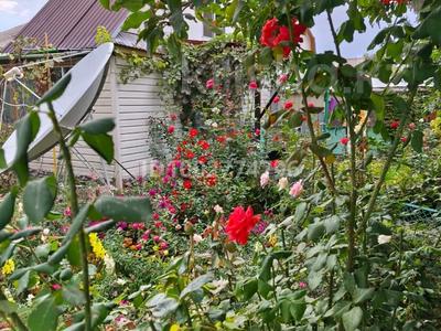 Дача · 5 комнат · 75 м² · 6 сот., Дачная — Вдоль БАКа за 13 млн 〒 в Есик