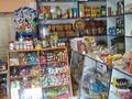 Магазины и бутики • 280 м² за 42 млн 〒 в Талгаре — фото 5