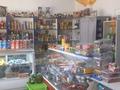 Магазины и бутики • 280 м² за 42 млн 〒 в Талгаре — фото 38