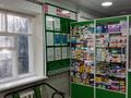 Еркін, медорталықтар мен дәріханалар · 70 м², бағасы: 200 000 〒 в Талдыкоргане — фото 2