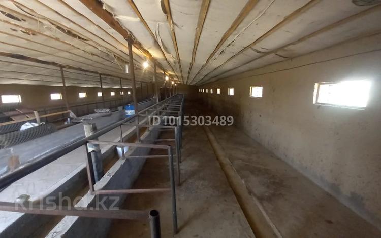 Сельское хозяйство · 1400 м² за 45 млн ₸ в Казыгурте — фото 2