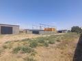 Сельское хозяйство · 1400 м² за 45 млн ₸ в Казыгурте — фото 20