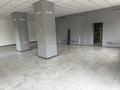 Еркін · 190 м², бағасы: 100 млн ₸ в Караганде, Казыбек би р-н — фото 3