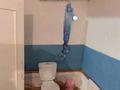 Отдельный дом · 4 комнаты · 81.9 м² · 126 сот., М. Горького 3 — Возле магазина "Жәрдем" за 8 млн ₸ в Майкайыне — фото 14