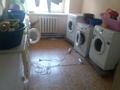 1-бөлмелі пәтер · 10 м² · 1/10 қабат, Мусрепова 7, бағасы: 5.5 млн ₸ в Астане, Алматы р-н — фото 6