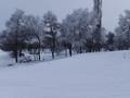 Жер телімі · 5 сотық, Новостройка — Мтф, бағасы: 2.7 млн ₸ в Коксай (пути Ильича) — фото 3