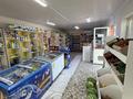 Магазины и бутики · 280 м² за 100 000 ₸ в Шымкенте, Абайский р-н — фото 5