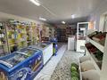 Магазины и бутики · 280 м² за 100 000 ₸ в Шымкенте, Абайский р-н — фото 6