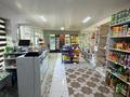 Магазины и бутики · 280 м² за 100 000 ₸ в Шымкенте, Абайский р-н — фото 9