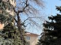 5-бөлмелі пәтер · 150 м² · 8/9 қабат, Достык — Аль фараби достык, бағасы: 150 млн ₸ в Алматы, Медеуский р-н — фото 15