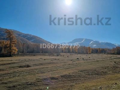 Эликсир Восточный Катон Карагай