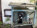 Свободное назначение, склады · 300 м² за 600 000 ₸ в Алматы, Алатауский р-н — фото 3