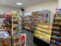 Магазины и бутики, общепит • 290 м² за 250 млн 〒 в Петропавловске — фото 5