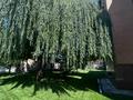 Отдельный дом · 8 комнат · 410 м² · 16 сот., Саноторий Акбулак — Санаторий Акбулак за 245 млн ₸ в Бирлик — фото 7