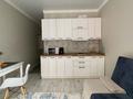 1-комнатная квартира · 30 м² · 7/12 этаж, Шевченко 85 за 23 000 ₸ в Алматы, Алмалинский р-н — фото 11
