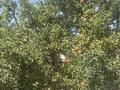 Жеке үй · 5 бөлме · 142 м² · 10.5 жүзд., Каргалинский переулок 5 — Толе би, бағасы: 186 млн ₸ в Алматы, Ауэзовский р-н — фото 4