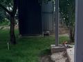 Жеке үй · 4 бөлме · 154 м² · , Жупарлы 2 — Микрорайон Мирас, бағасы: 65 млн ₸ в Шымкенте, Каратауский р-н — фото 24