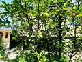 Жеке үй · 6 бөлме · 135 м² · 6.9 жүзд., Ертаргын 24 — Абылай хан, бағасы: 62 млн ₸ в  — фото 47