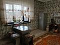 Отдельный дом · 5 комнат · 230 м² · 6.76 сот., Толстого 127 — Поликлиника 14 за 110.5 млн ₸ в Шымкенте, Енбекшинский р-н — фото 54