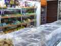 Магазины и бутики · 12345 м² за 245 000 ₸ в Астане, Сарыарка р-н — фото 3