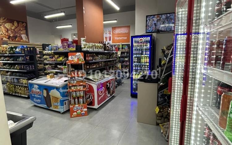 Продуктовый маркет · 100 м², бағасы: 45 млн ₸ в Астане, Есильский р-н — фото 2