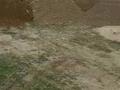 Жер телімі 9.9 га, Мкр. Шанырак, бағасы: 4 млн 〒 в Таразе — фото 3