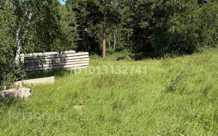 Участок · 26 соток, Заречный 3-я линия, уч. 1 за 25 млн ₸ в Щучинске — фото 2
