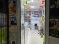 Магазины и бутики · 120.1 м² за 75 млн ₸ в Астане, Алматы р-н — фото 9