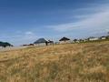 Участок · 10 соток, жилой массив Кайнар Булак 211,129 — улица шокпартас за 10 млн ₸ в Шымкенте, Абайский р-н — фото 15