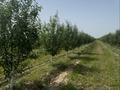 Жер телімі · 5 га, Түрген, бағасы: 70 млн ₸ в Турген — фото 5