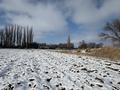 Участок · 10 соток, Орынкулова за 17 млн ₸ в Сарыкемере — фото 4