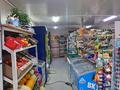 Продуктовый магазин · 80 м² за 15 млн ₸ в Астане, р-н Байконур — фото 6