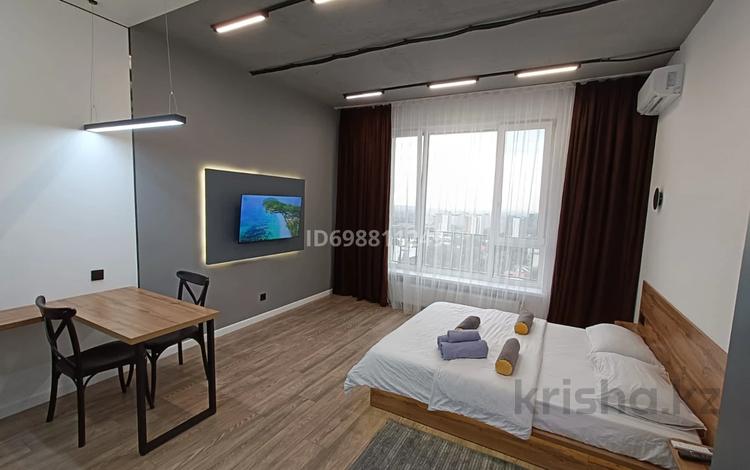 1-комнатная квартира · 25 м², Розыбакиева 197/2 за 19 000 ₸ в Алматы, Бостандыкский р-н — фото 9