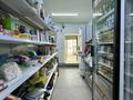 Магазины и бутики · 53.6 м² за 47 млн ₸ в Астане, Нура р-н — фото 9