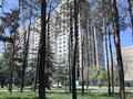 2-комнатная квартира · 87 м² · 19 этаж, Жарокова 218 — РЯДОМ БОТАНИЧЕСКИЙ САД за 114.5 млн 〒 в Алматы, Бостандыкский р-н — фото 49