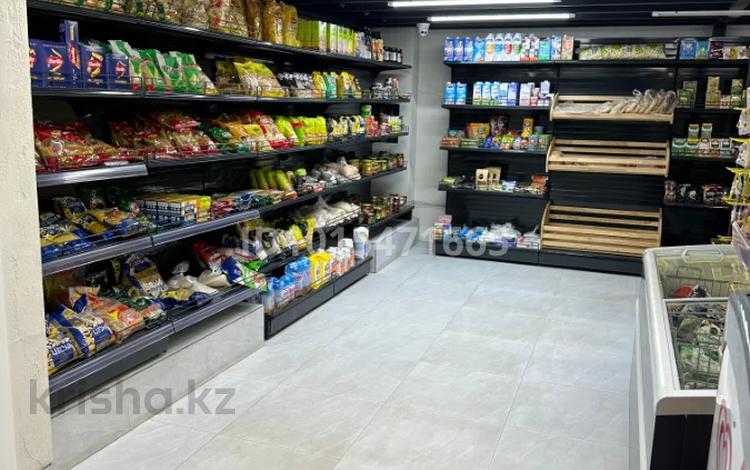 Магазины и бутики, сельское хозяйство · 20 м² за 220 000 ₸ в Астане — фото 2