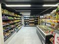 Магазины и бутики, сельское хозяйство · 20 м² за 220 000 ₸ в Астане — фото 3