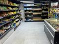 Магазины и бутики, сельское хозяйство · 20 м² за 220 000 ₸ в Астане — фото 4