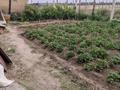 Жеке үй · 4 бөлме · 117 м² · 6 жүзд., Бобровка, 1 дачи мурат 4261, бағасы: 13 млн ₸ в Семее — фото 14