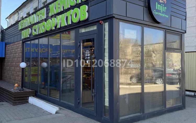 Свободное назначение, магазины и бутики, общепит · 36 м² за 350 000 ₸ в Кокшетау — фото 2