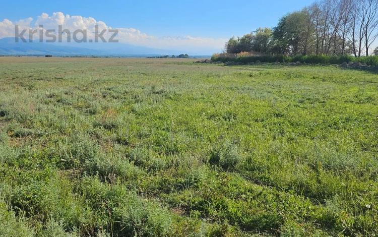 Участок · 170 га, Казатком за 129 млн ₸ — фото 7